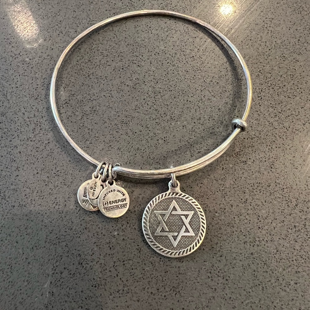 Alex and Ani - silver and gold bracelets - all different charms - Picture 5 of 6